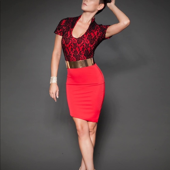 Red Cocktail Dress (Large - Small) - Picture 6 of 7